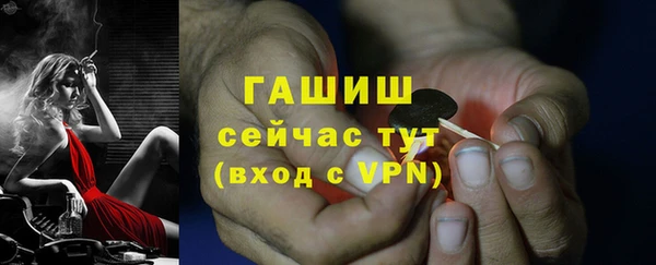 мяу мяу мука Бородино