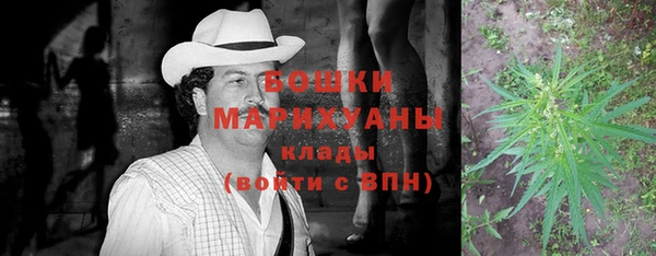 apvp Богданович
