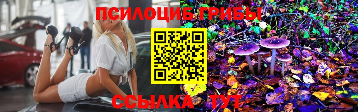 Псилоцибиновые грибы мицелий Пыть-Ях